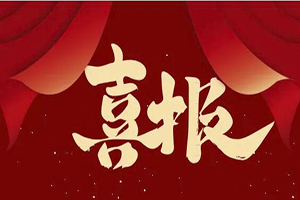 诚载使命 信铸辉煌│Bsports·必一体育(中国)官方网站荣获泰州2023年度“守合同重信用”企业！